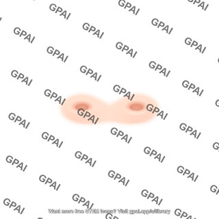 Pig snout