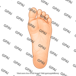 Foot sole