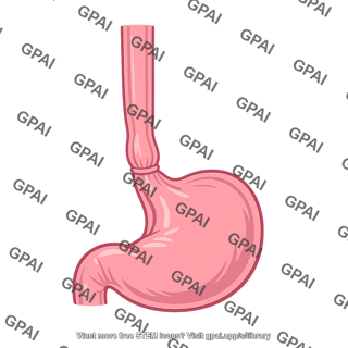 Gastroesophageal junction
