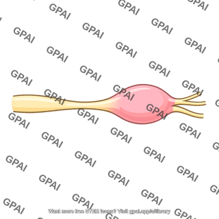 Sensory root of trigeminal nerve