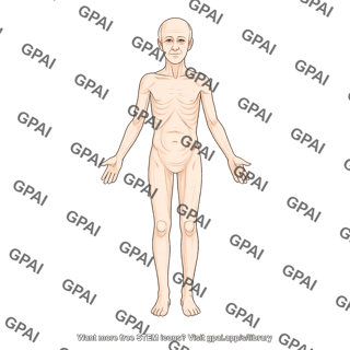 Elderly adult 3 male underweight anterior