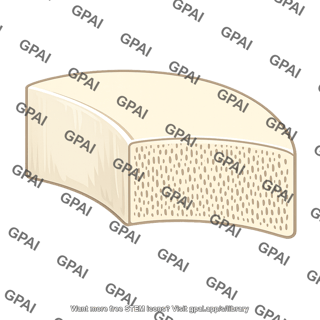 Cheese wedge