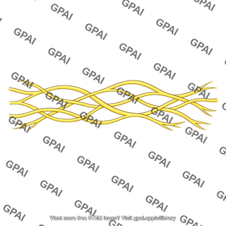 Elastic fiber