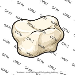 Molar tooth