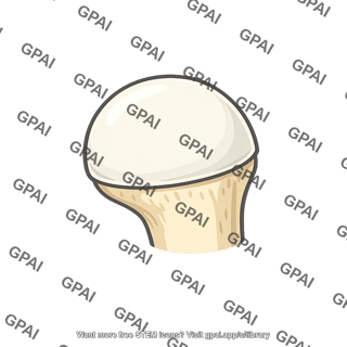 Humeral head