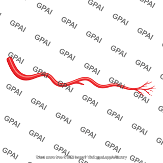 Ovarian artery