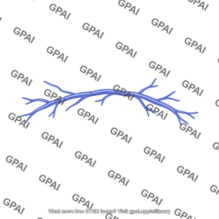 Dorsal venous arch