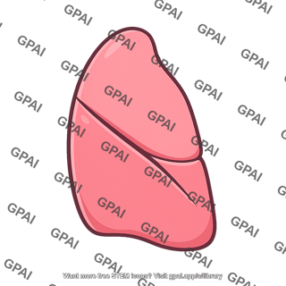 Oblique fissure