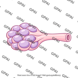Gland of nasal mucosa