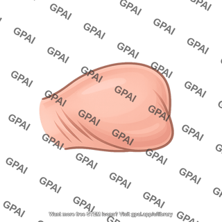 Raw chicken breast