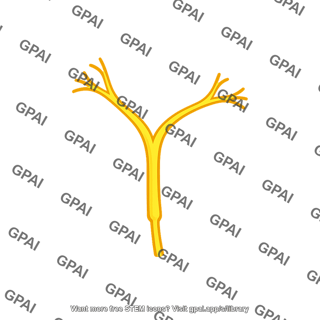 Nerve branch