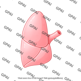 Lung lobe left lateral