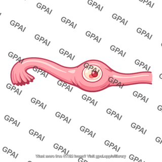 Pregnancy ectopic