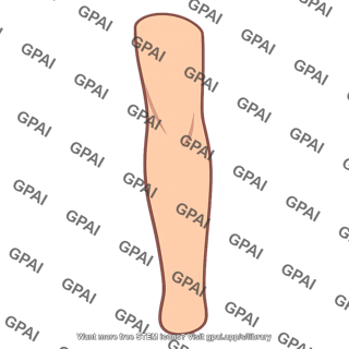 Skin of medial side of forearm