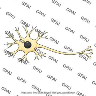 Neuron