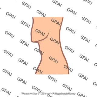 Human torso profile