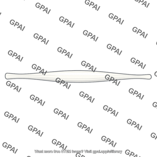 Biceps brachii long head tendon