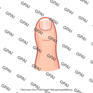 Human finger