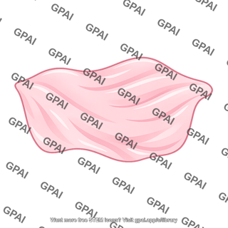 Mucosal lining