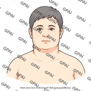 Adult 7 head gender neutral stage i obesity anterior 999