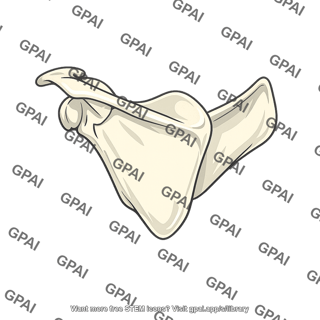 Scapula winged