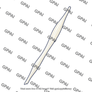 Gracilis tendon