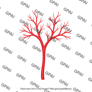 Branching arteries