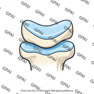 Saddle joint