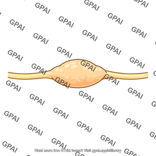 Geniculate ganglion