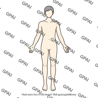 Adult 1 gender neutral anterior