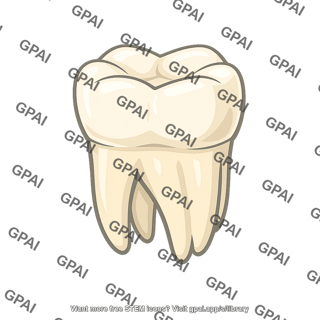 Molar tooth