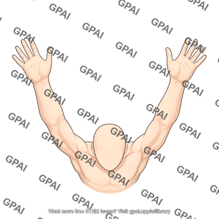 Adult gender neutral superior arms outstretched hairless sil