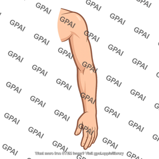 Left upper limb
