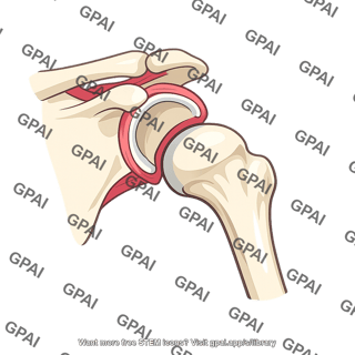 Shoulder joint