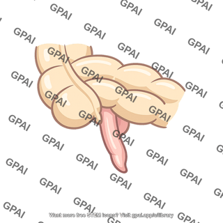 Postileal appendix