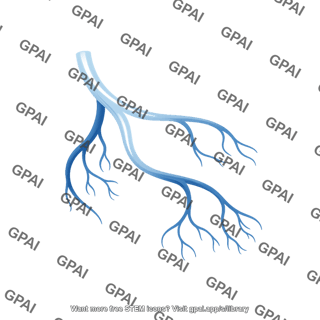 Coronary veins