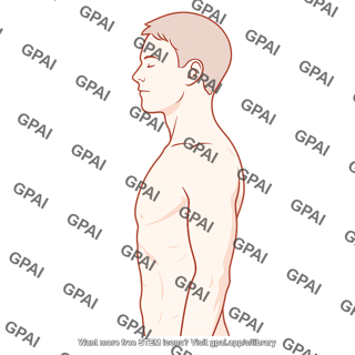 Adult male upper body male lateral