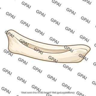 Sanitary pad