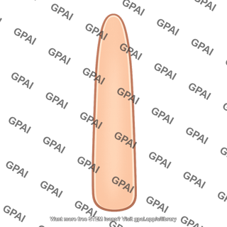Dorsal digit skin