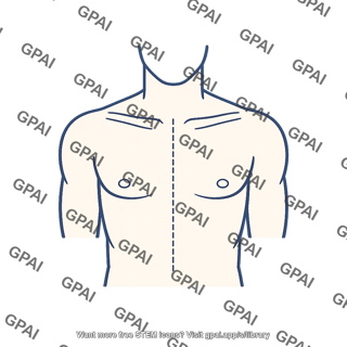 Median line torso