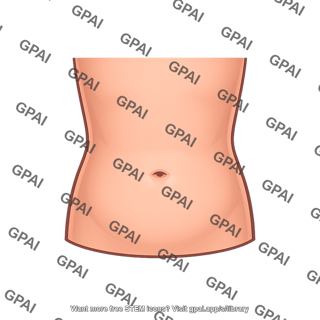 Abdomen