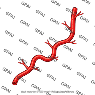 Facial artery
