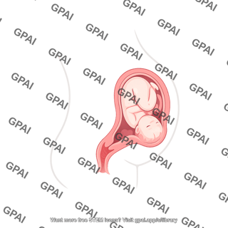 Fetus crowning pregnant human
