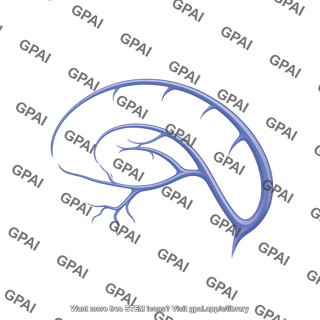 Veins brain sagittal