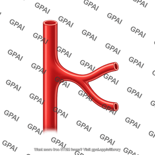 Vessel generic branching 2 arteriole
