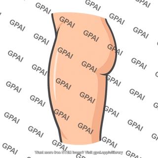 Upper thigh