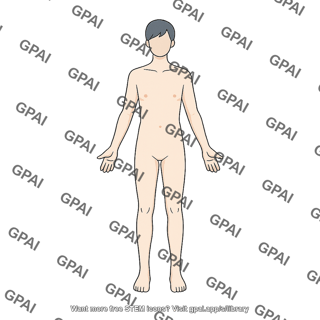 Adult 3 male anterior