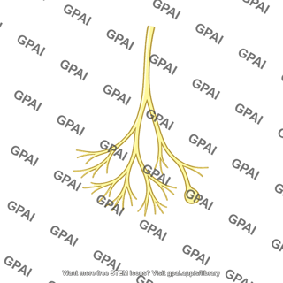 Tissue receptor