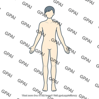 Adult 5 gender neutral anterior