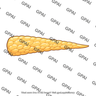 Tail of pancreas